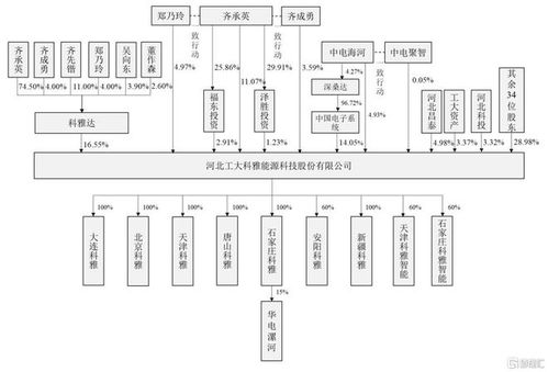 工大科雅登陸創(chuàng)業(yè)板，上市首日大漲超50% 引領(lǐng)信息系統(tǒng)集成服務(wù)新浪潮